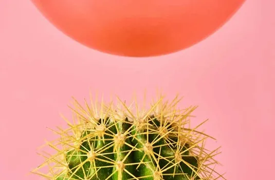 Das Bild zeigt einen Ballon der sehr knapp über einem Kaktur schwebt.