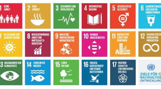 Die SDGs