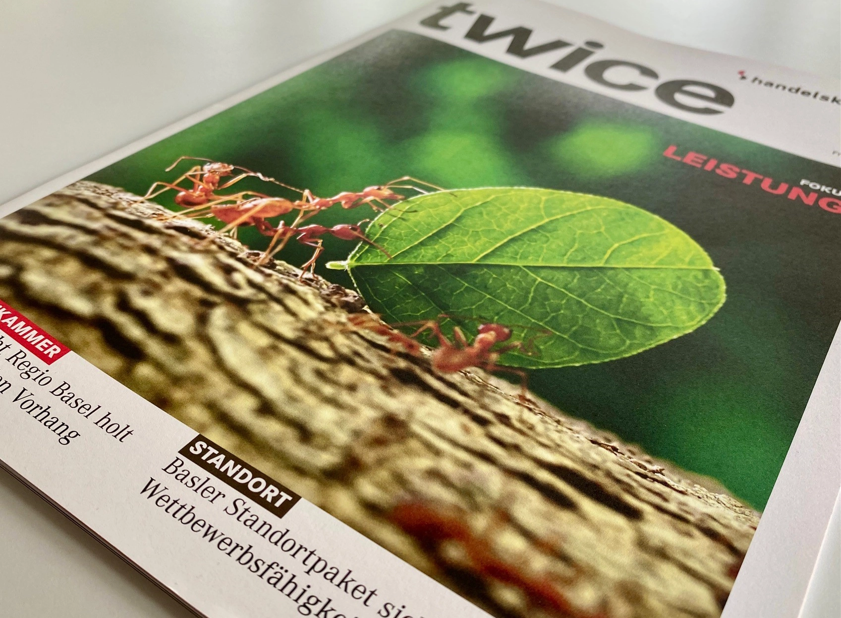 Cover des Magazins twice mit Ameisen, die ein Blatt gemeinsam tragen.