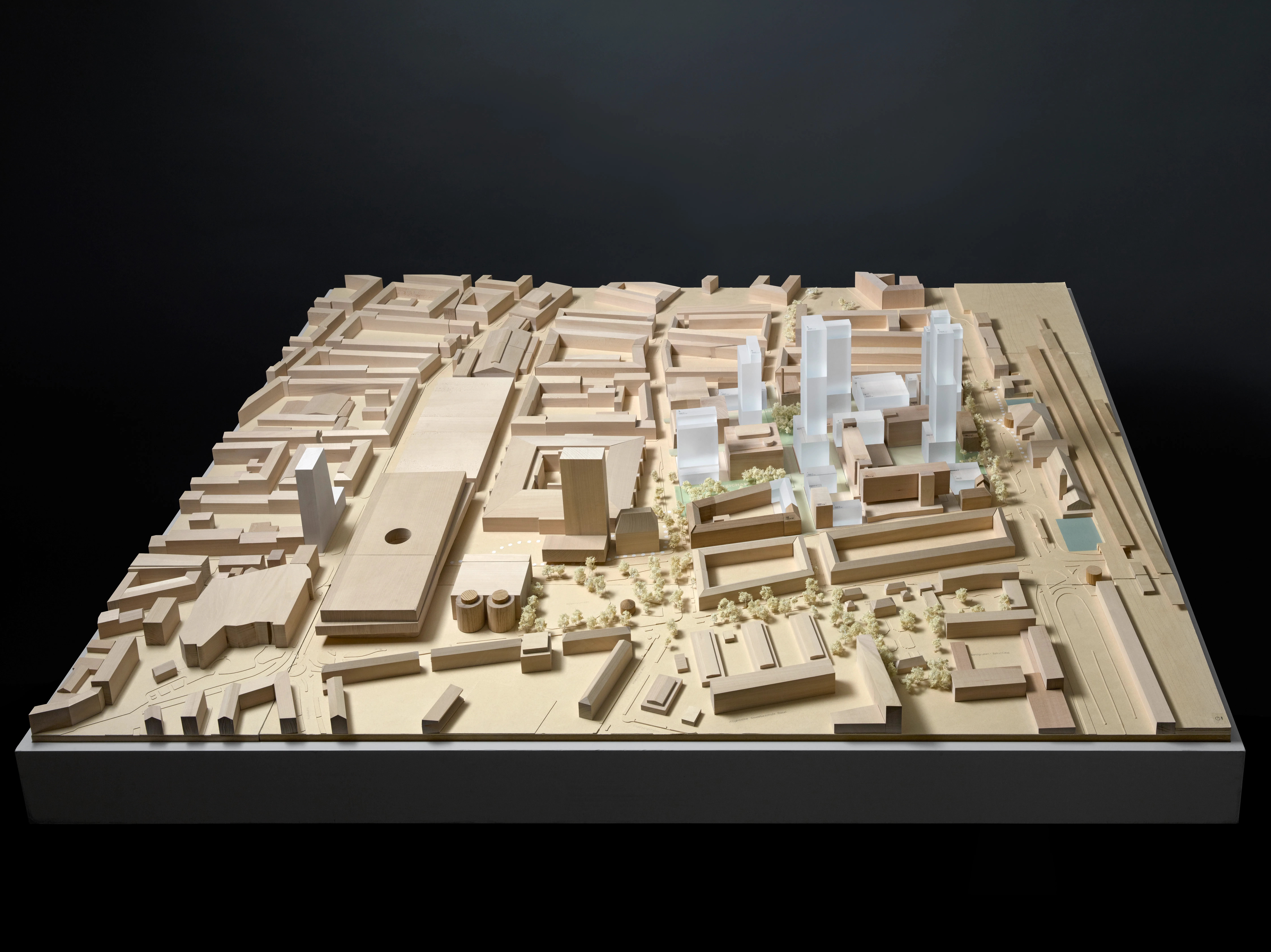 Areal-Explorer Holzmodell Rosental Mitte