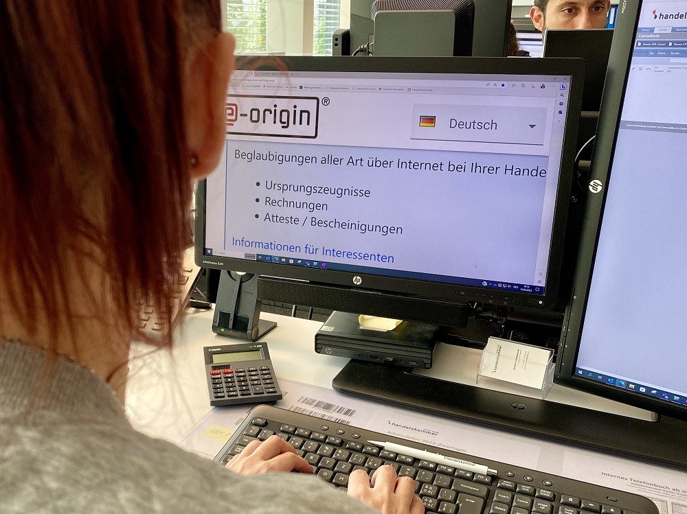 Frau am Computer